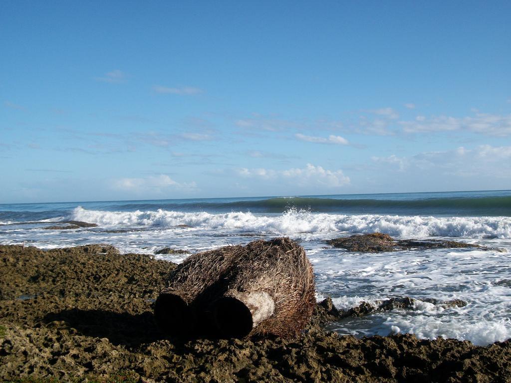 Piscina Natural On The Sea Cahuita Kültér fotó