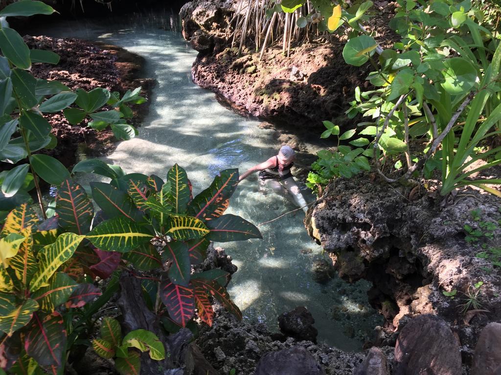 Piscina Natural On The Sea Cahuita Kültér fotó