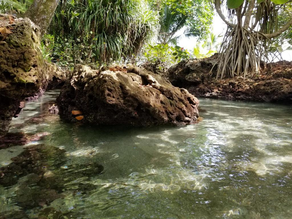 Piscina Natural On The Sea Cahuita Kültér fotó
